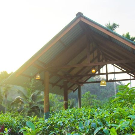 Rainforest Mount Lodge Deniyaya Extérieur photo