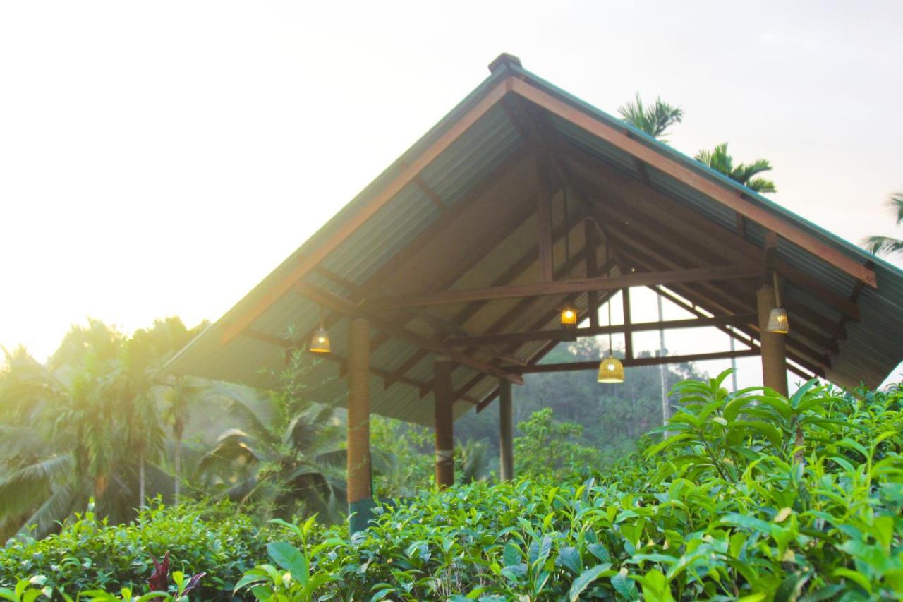 Rainforest Mount Lodge Deniyaya Extérieur photo