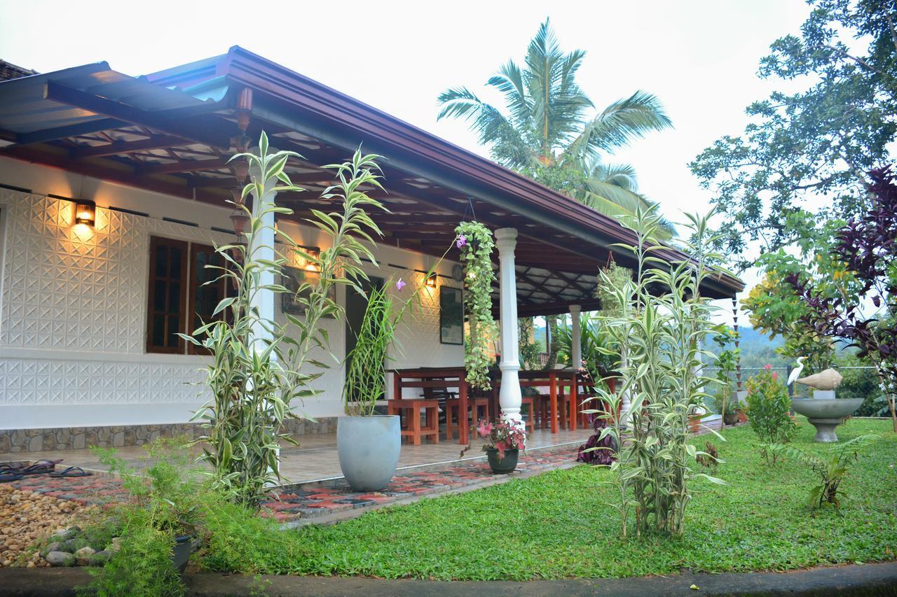 Rainforest Mount Lodge Deniyaya Extérieur photo