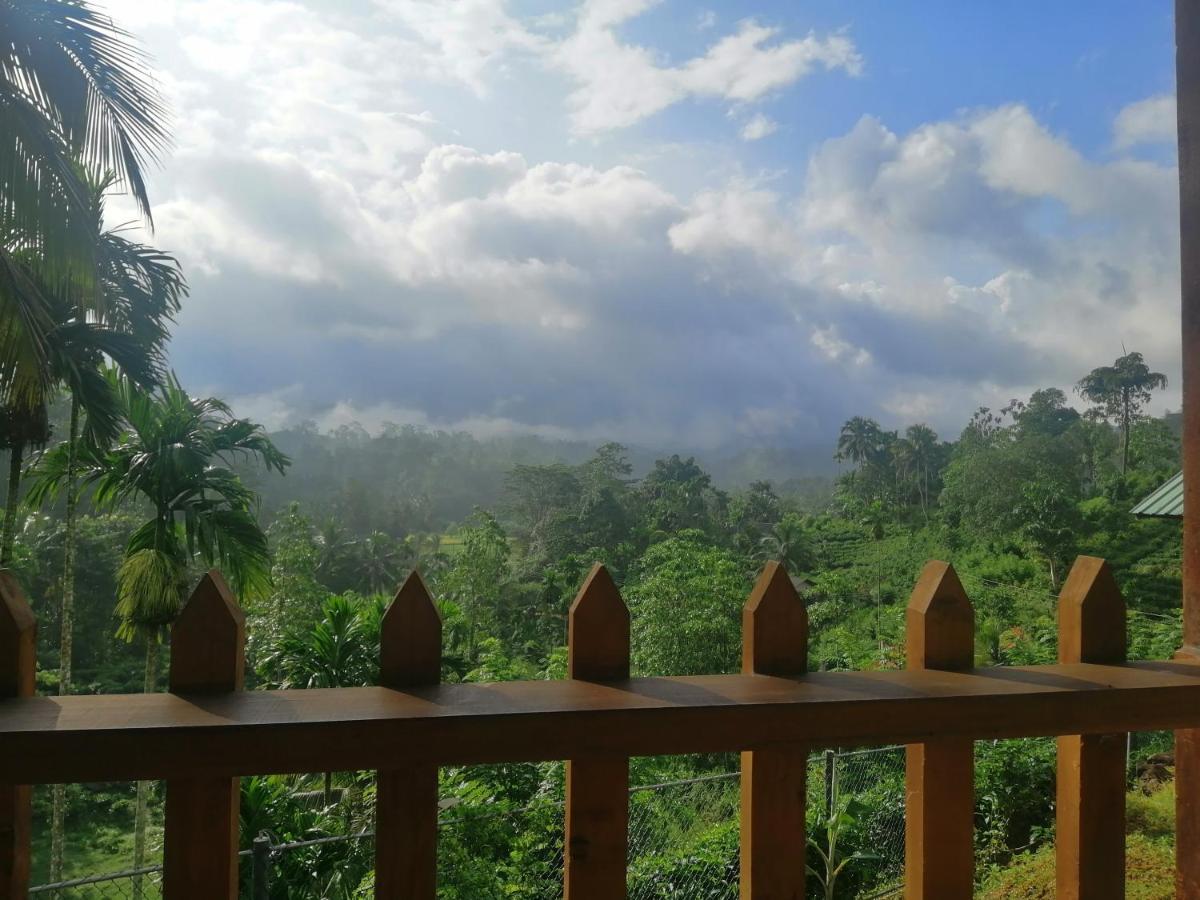 Rainforest Mount Lodge Deniyaya Extérieur photo